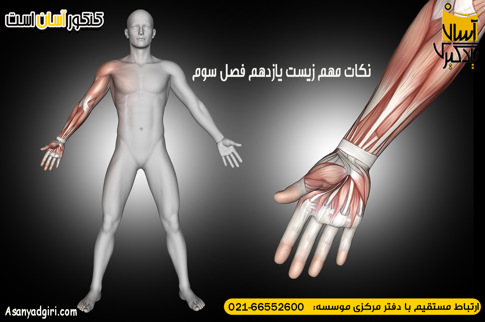 نکات مهم زیست یازدهم فصل سوم