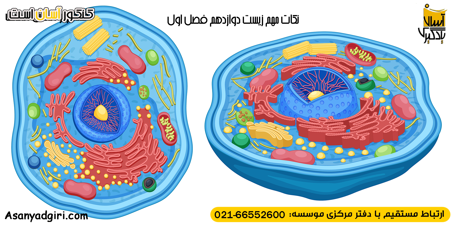 نکات مهم زیست دوازدهم فصل اول