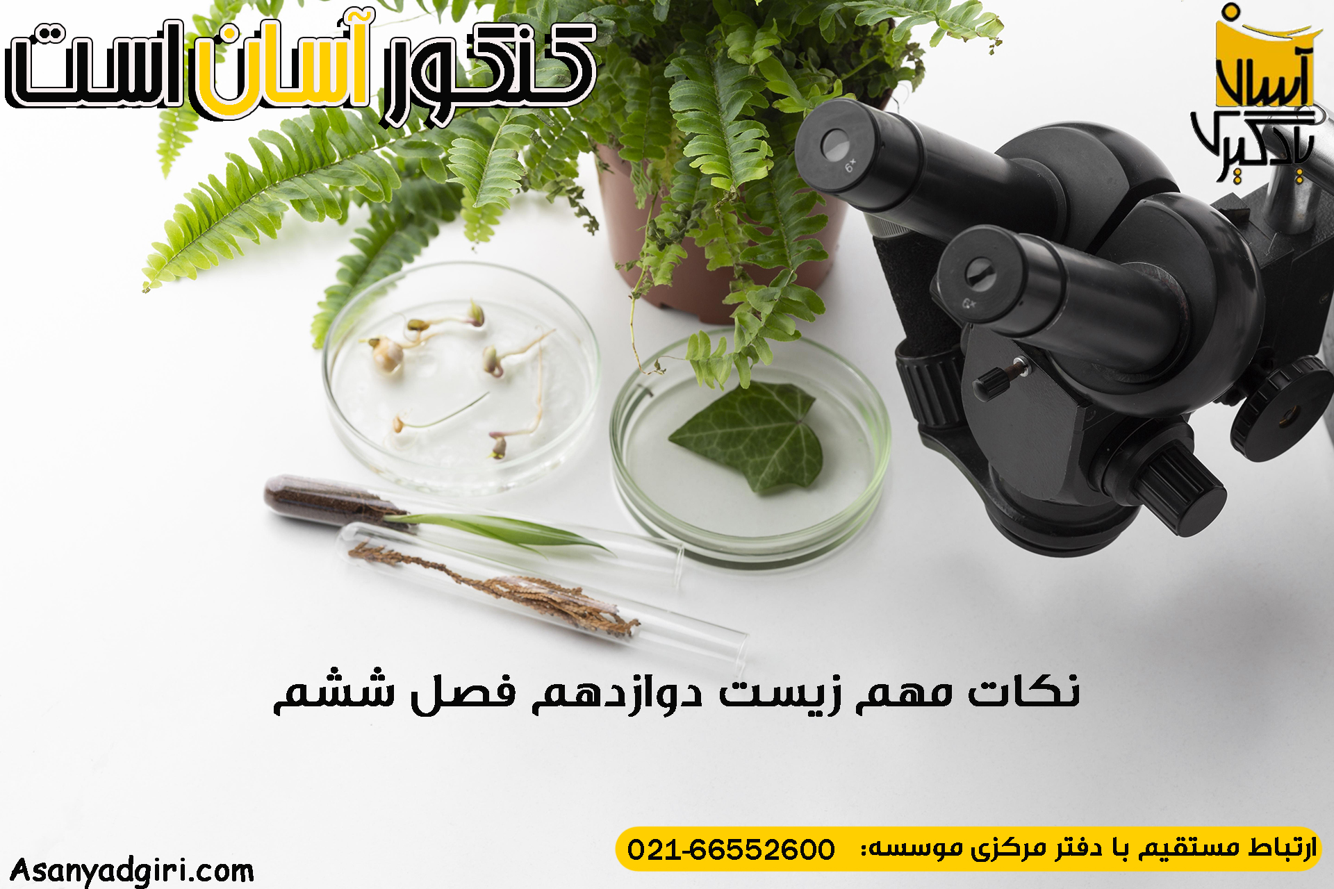 نکات مهم زیست دوازدهم فصل ششم