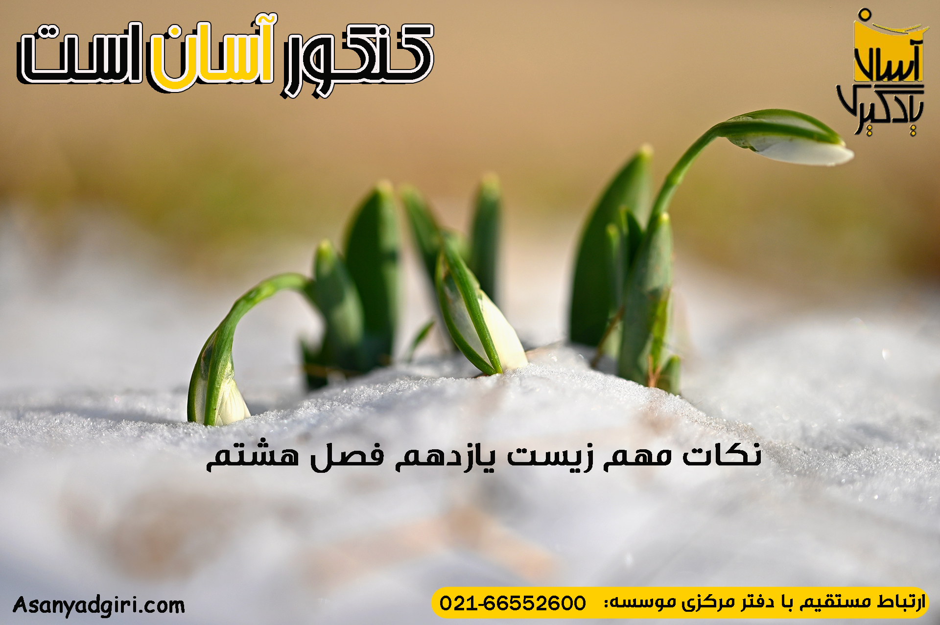 نکات مهم زیست یازدهم فصل هشتم